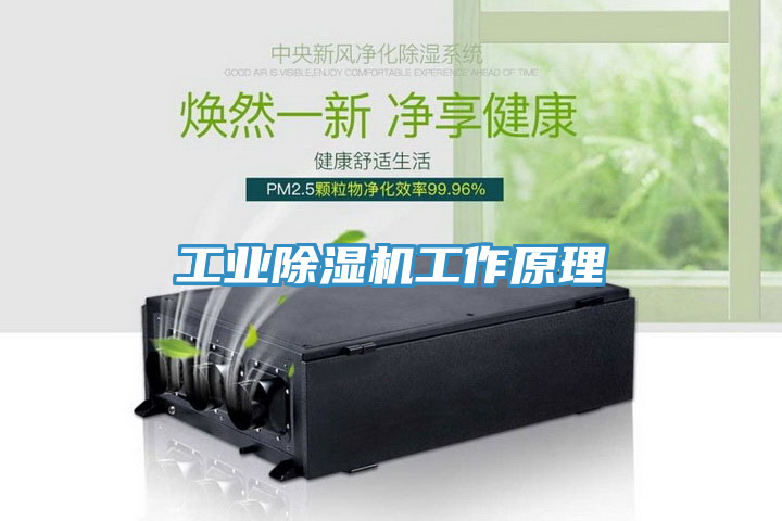工业MR.好色破解版工作原理