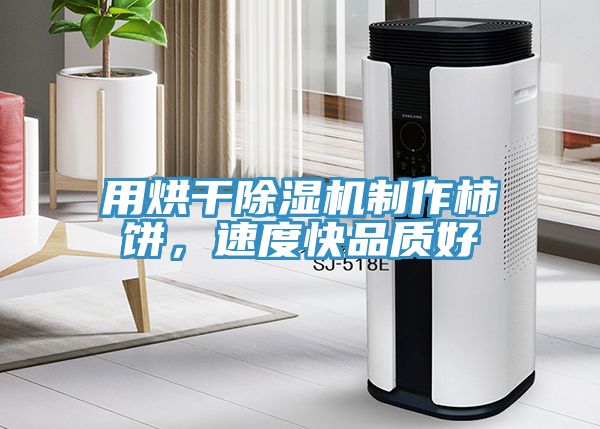 用烘干MR.好色破解版制作柿饼，速度快品质好