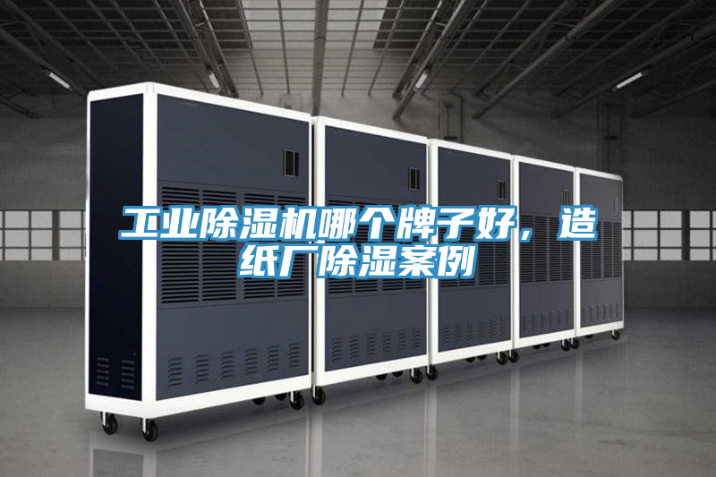 工业MR.好色破解版哪个牌子好，造纸厂除湿案例