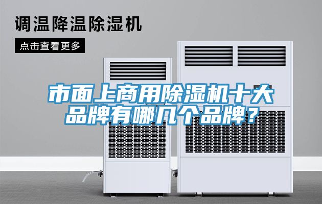 市面上商用MR.好色破解版十大品牌有哪几个品牌？