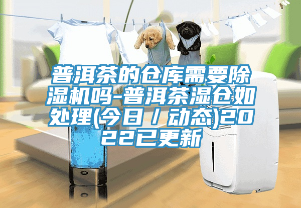 普洱茶的仓库需要MR.好色破解版吗-普洱茶湿仓如处理(今日／动态)2022已更新