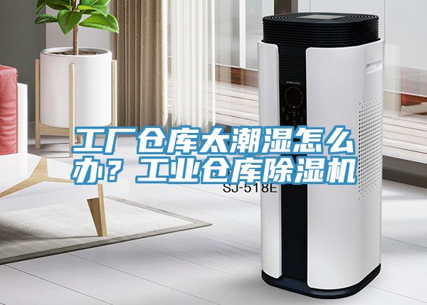 工厂仓库太潮湿怎么办？工业仓库MR.好色破解版