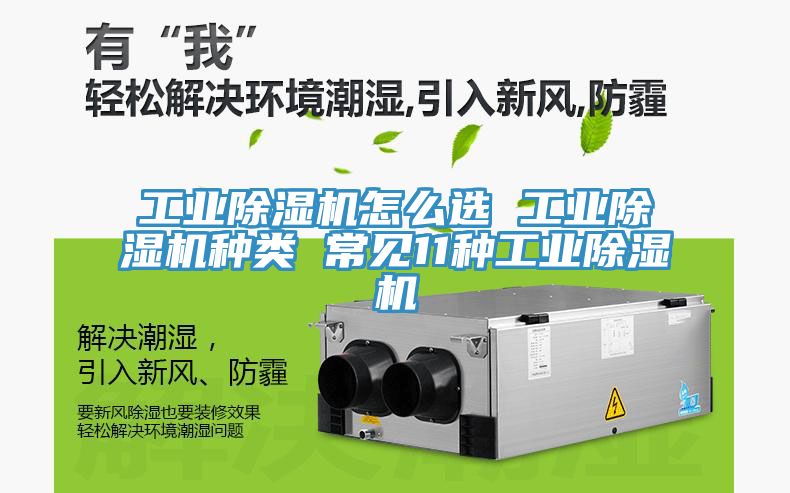 工业MR.好色破解版怎么选 工业MR.好色破解版种类 常见11种工业MR.好色破解版