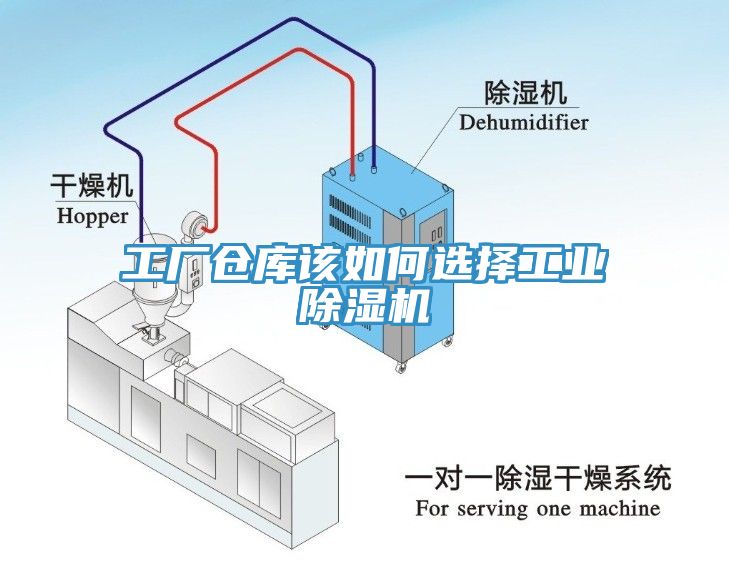 工厂仓库该如何选择工业MR.好色破解版