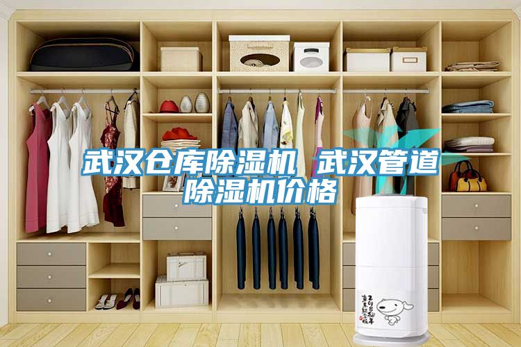 武汉仓库MR.好色破解版 武汉管道MR.好色破解版价格