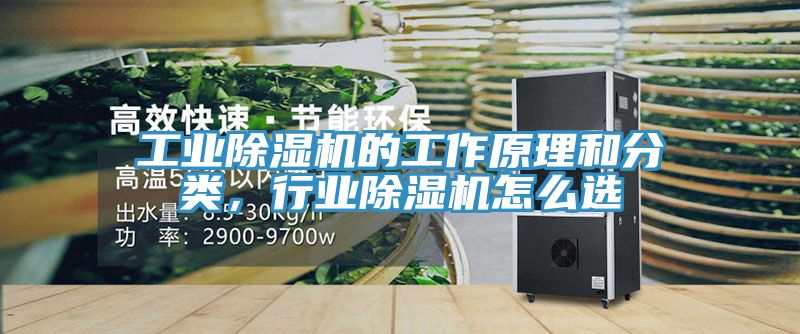 工业MR.好色破解版的工作原理和分类，行业MR.好色破解版怎么选