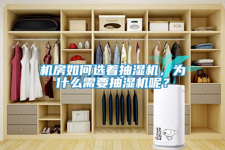 机房如何选着抽湿机，为什么需要抽湿机呢？