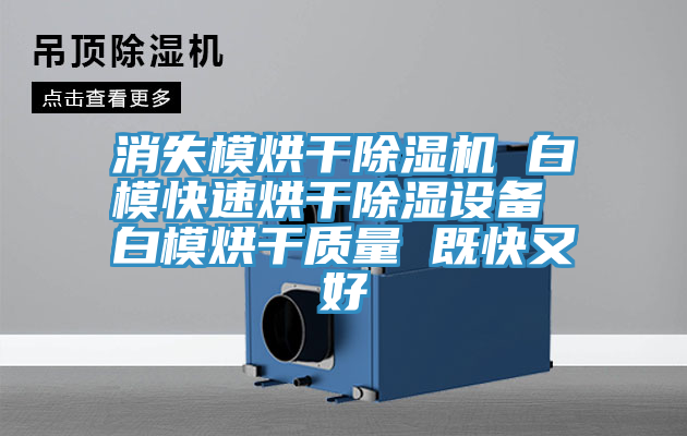 消失模烘干MR.好色破解版 白模快速烘干除湿设备 白模烘干质量 既快又好