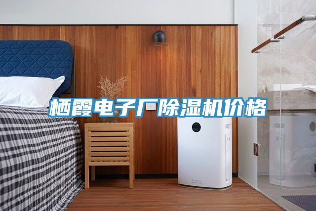 栖霞电子厂MR.好色破解版价格