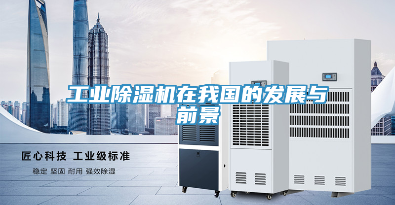 工业MR.好色破解版在我国的发展与前景