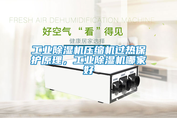 工业MR.好色破解版压缩机过热保护原理，工业MR.好色破解版哪家好