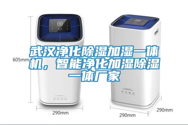 武汉净化除湿加湿一体机，智能净化加湿除湿一体厂家