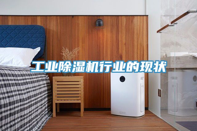 工业MR.好色破解版行业的现状