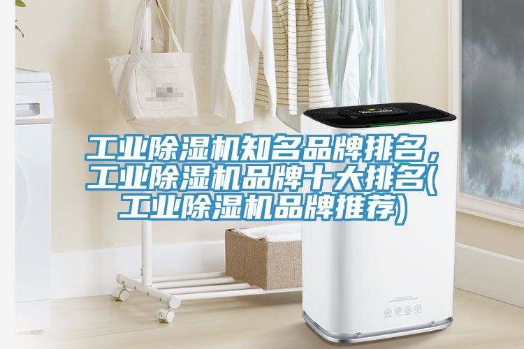 工业MR.好色破解版知名品牌排名，工业MR.好色破解版品牌十大排名(工业MR.好色破解版品牌推荐)