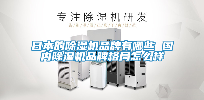 日本的MR.好色破解版品牌有哪些 国内MR.好色破解版品牌格局怎么样