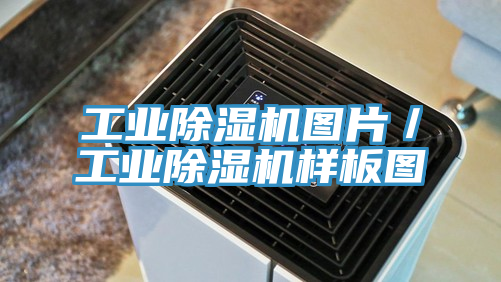 工业MR.好色破解版图片／工业MR.好色破解版样板图