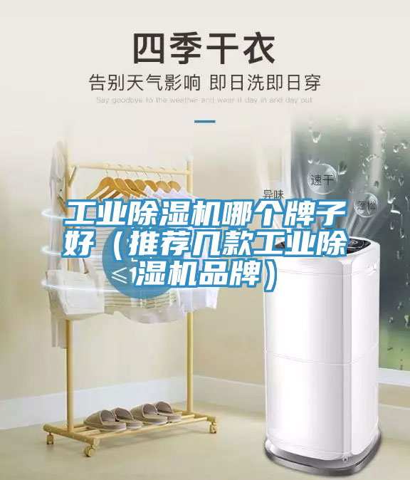 工业MR.好色破解版哪个牌子好（推荐几款工业MR.好色破解版品牌）