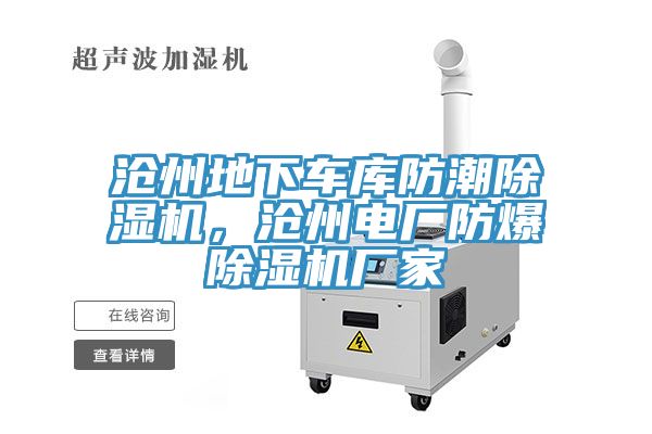沧州地下车库防潮MR.好色破解版，沧州电厂防爆MR.好色破解版厂家