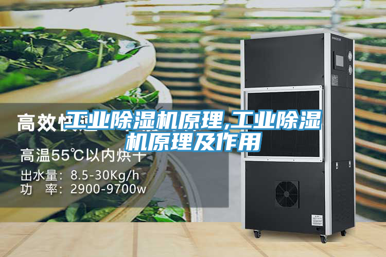 工业MR.好色破解版原理,工业MR.好色破解版原理及作用