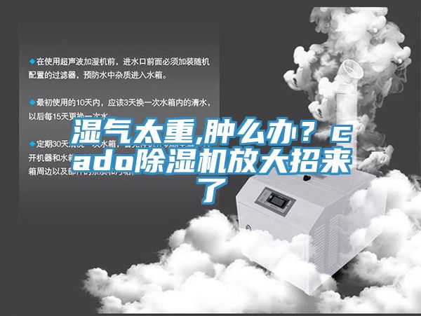 湿气太重,肿么办？cadoMR.好色破解版放大招来了