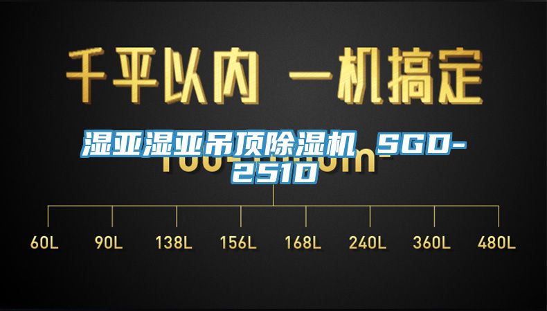 湿亚湿亚吊顶MR.好色破解版 SGD-251D