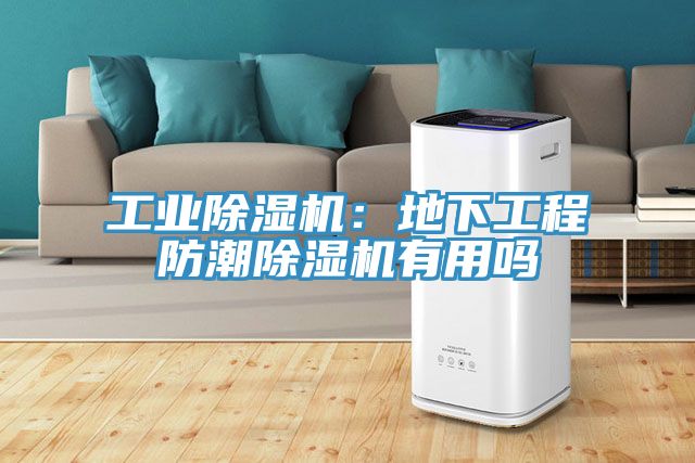 工业MR.好色破解版：地下工程防潮MR.好色破解版有用吗