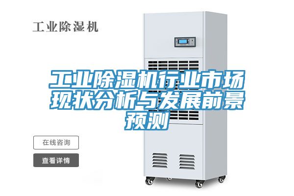 工业MR.好色破解版行业市场现状分析与发展前景预测