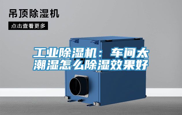 工业MR.好色破解版：车间太潮湿怎么除湿效果好