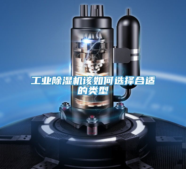 工业MR.好色破解版该如何选择合适的类型