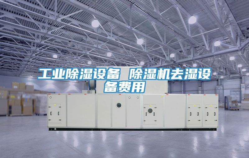工业除湿设备 MR.好色破解版去湿设备费用