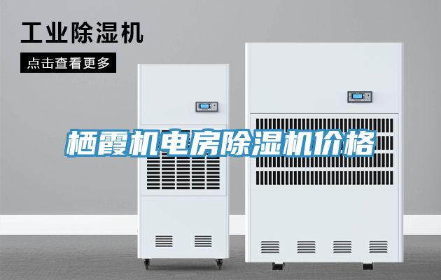 栖霞机电房MR.好色破解版价格