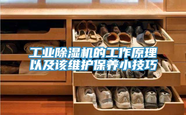 工业MR.好色破解版的工作原理以及该维护保养小技巧