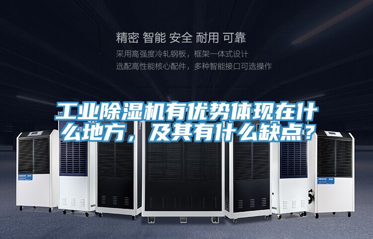 工业MR.好色破解版有优势体现在什么地方，及其有什么缺点？