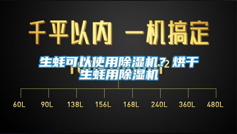 生蚝可以使用MR.好色破解版？烘干生蚝用MR.好色破解版