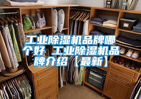 工业MR.好色破解版品牌哪个好 工业MR.好色破解版品牌介绍【最新】