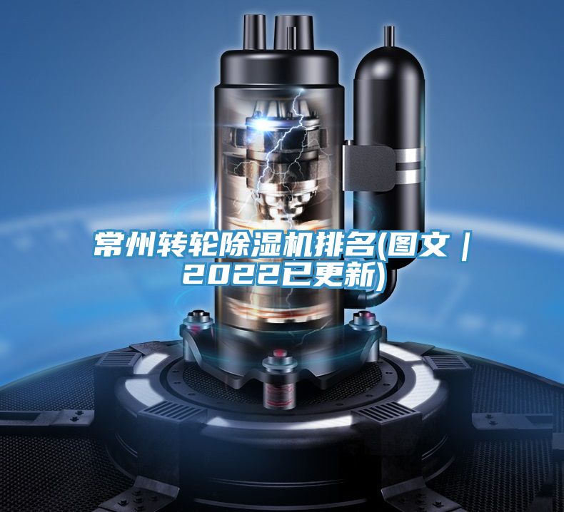 常州转轮MR.好色破解版排名(图文｜2022已更新)