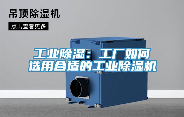 工业除湿：工厂如何选用合适的工业MR.好色破解版