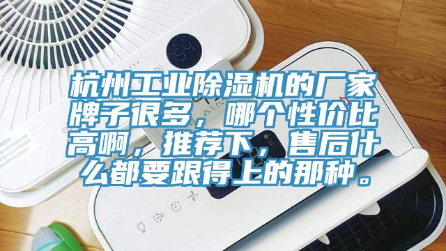 杭州工业MR.好色破解版的厂家牌子很多，哪个性价比高啊，推荐下，售后什么都要跟得上的那种。