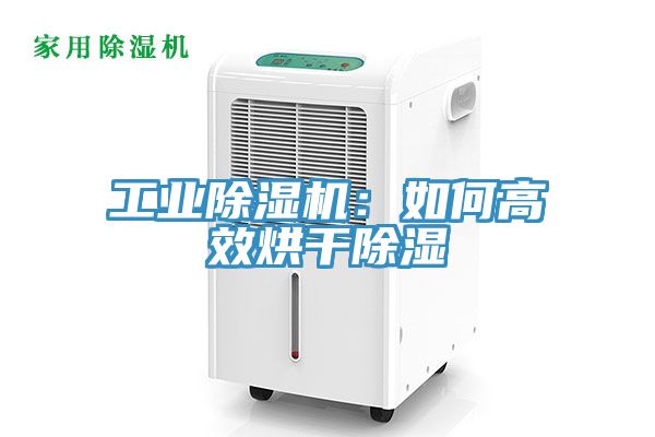 工业MR.好色破解版：如何高效烘干除湿