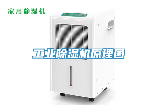 工业MR.好色破解版原理图