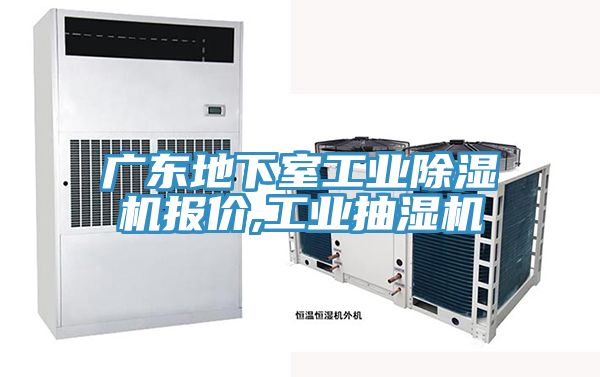广东地下室工业MR.好色破解版报价,工业抽湿机