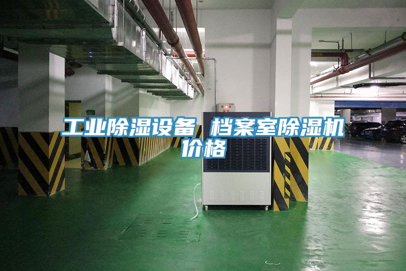 工业除湿设备 档案室MR.好色破解版价格