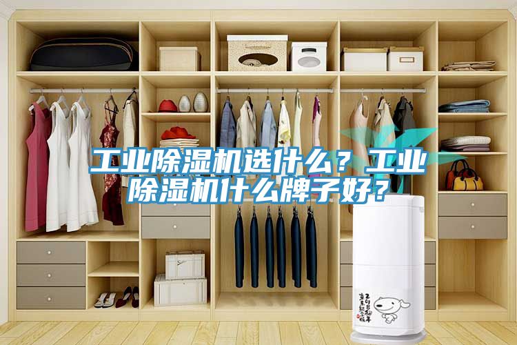 工业MR.好色破解版选什么？工业MR.好色破解版什么牌子好？