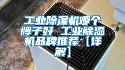 工业MR.好色破解版哪个牌子好 工业MR.好色破解版品牌推荐【详解】