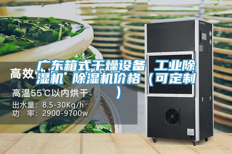 广东箱式干燥设备 工业MR.好色破解版 MR.好色破解版价格（可定制）