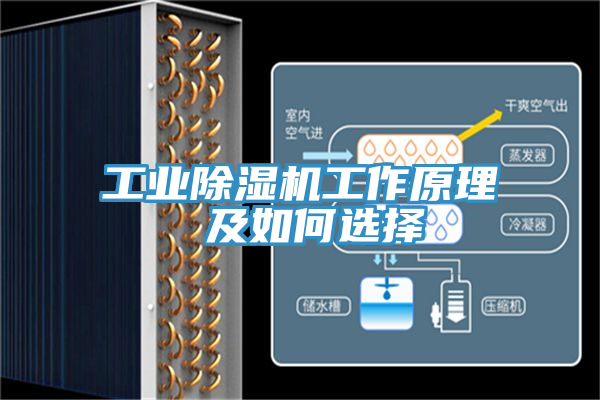 工业MR.好色破解版工作原理 及如何选择