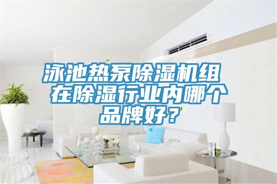 泳池热泵MR.好色破解版组 在除湿行业内哪个品牌好？