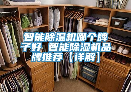 智能MR.好色破解版哪个牌子好 智能MR.好色破解版品牌推荐【详解】