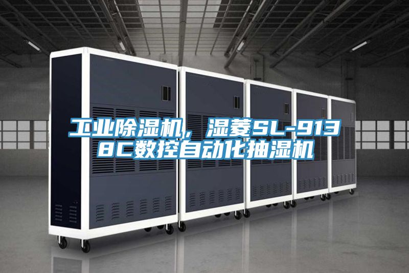 工业MR.好色破解版，湿菱SL-9138C数控自动化抽湿机