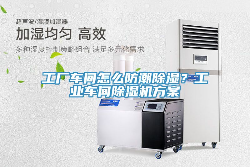 工厂车间怎么防潮除湿？工业车间MR.好色破解版方案